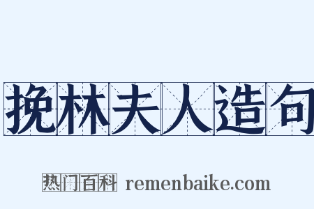 挽林夫人造句是什么意思的图片